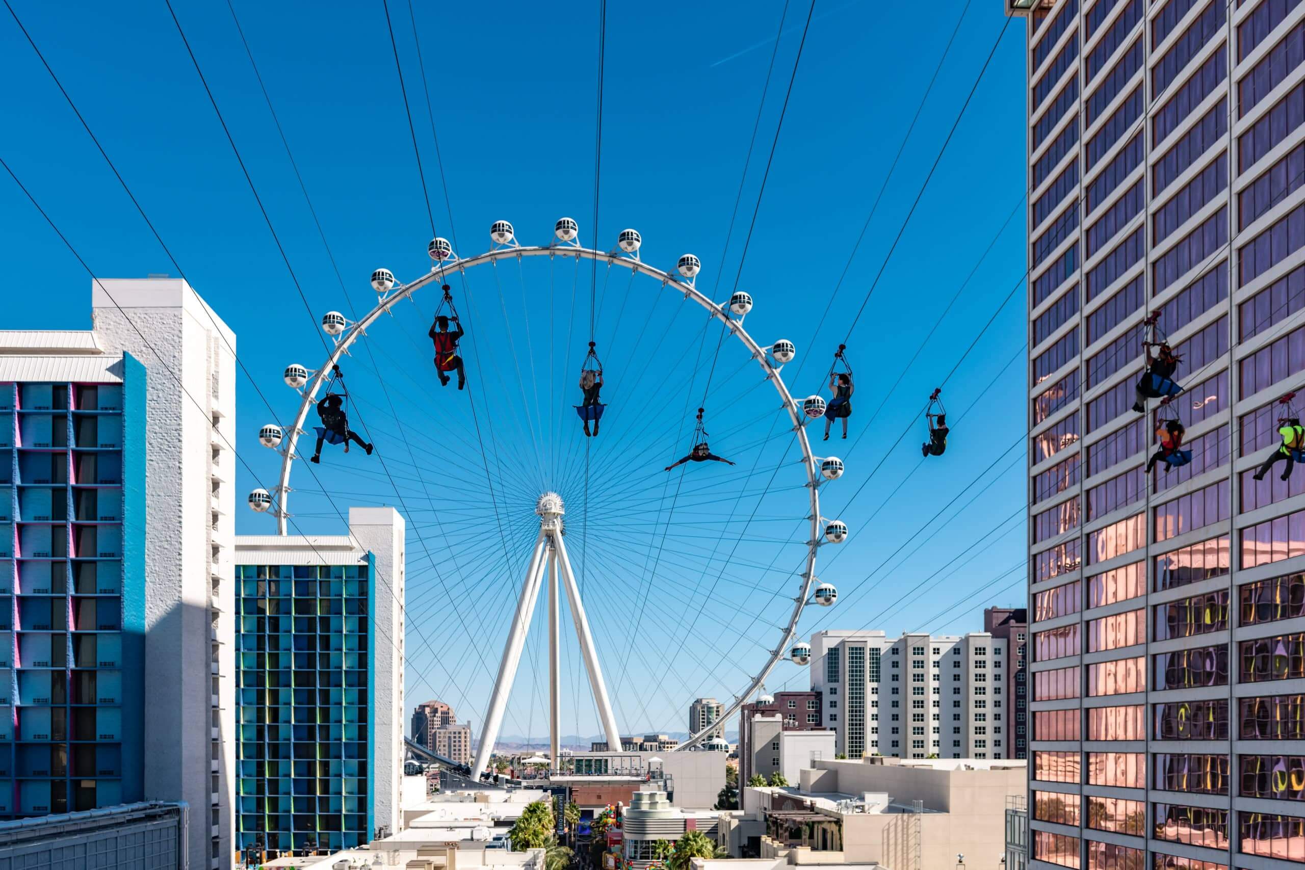 LINQZipline2018_1026_131726-4060_BSK-MAIN